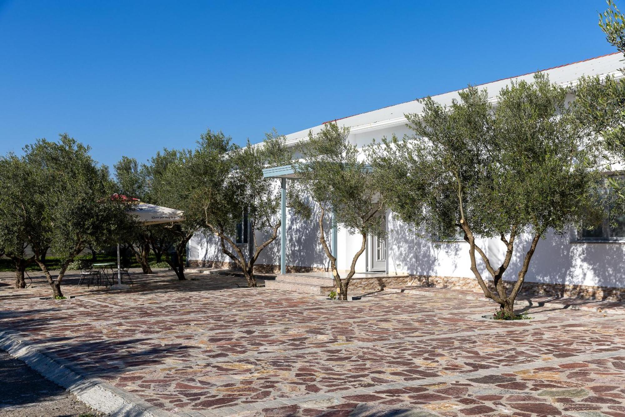Hotel Paradise Shkodra Kültér fotó
